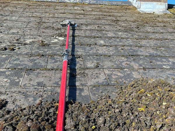 343051655 810627343733863 2015556107393440370 N