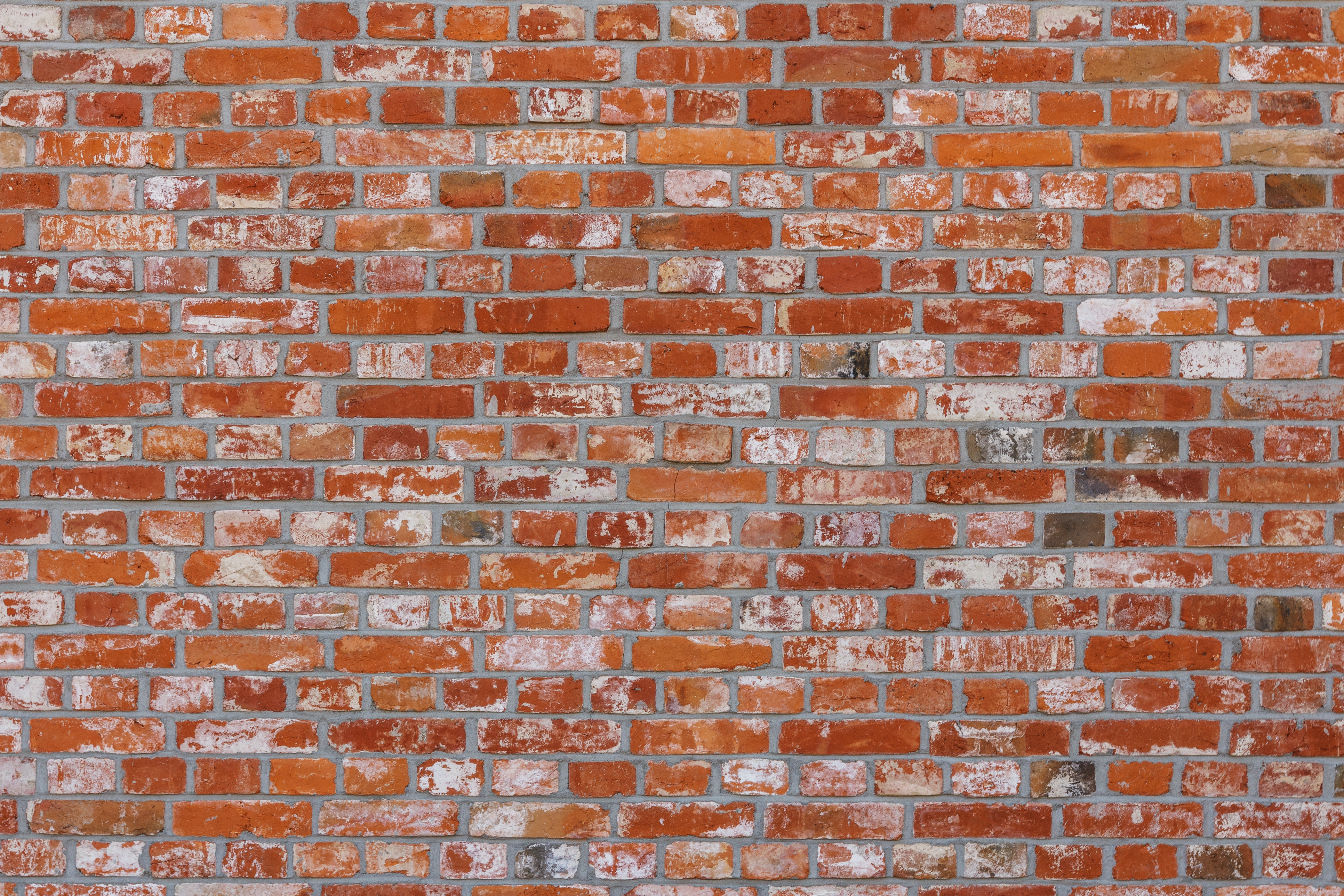 Brick Wall 2022 12 15 21 48 50 Utc